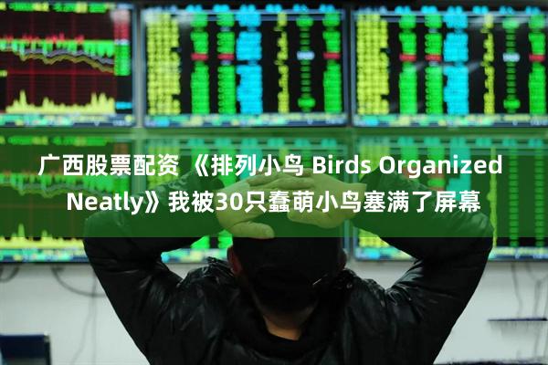广西股票配资 《排列小鸟 Birds Organized Neatly》我被30只蠢萌小鸟塞满了屏幕