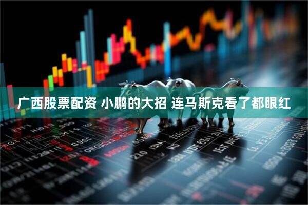 广西股票配资 小鹏的大招 连马斯克看了都眼红