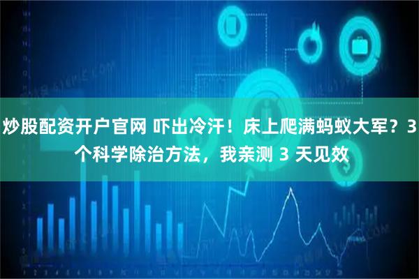 炒股配资开户官网 吓出冷汗！床上爬满蚂蚁大军？3 个科学除治方法，我亲测 3 天见效