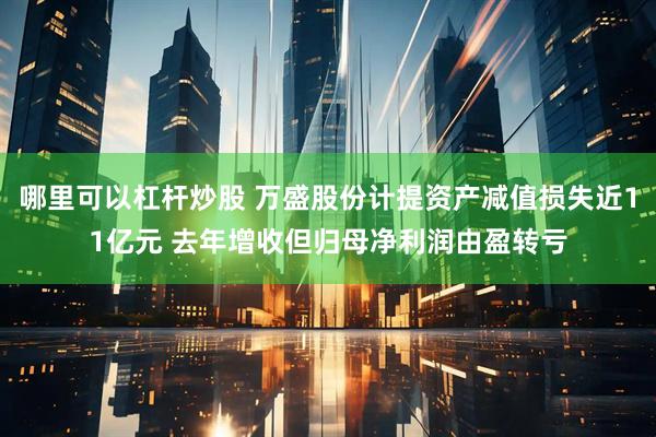 哪里可以杠杆炒股 万盛股份计提资产减值损失近11亿元 去年增收但归母净利润由盈转亏